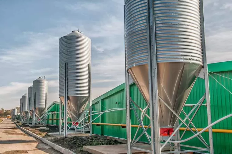 Bâtiment agricole béton armé, Florac-Trois-Rivières, Matoses